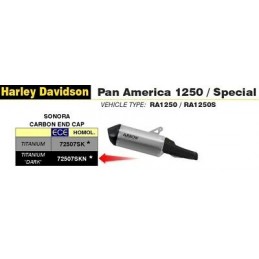 LIGNE COMPLETE ARROW SONORA DARK HARLEY-DAVIDSON PAN AMERICA 1250 2020 / 2022