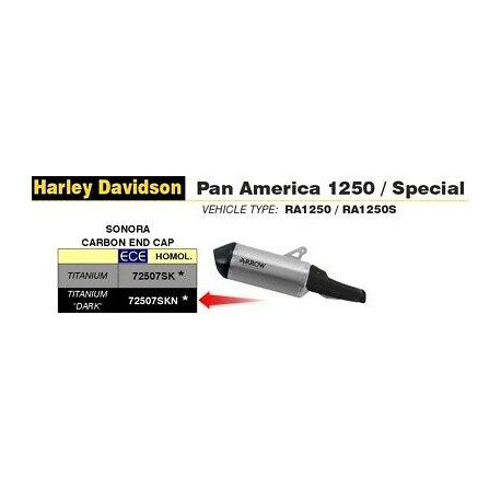 LIGNE COMPLETE ARROW SONORA DARK HARLEY-DAVIDSON PAN AMERICA 1250 2020 / 2022